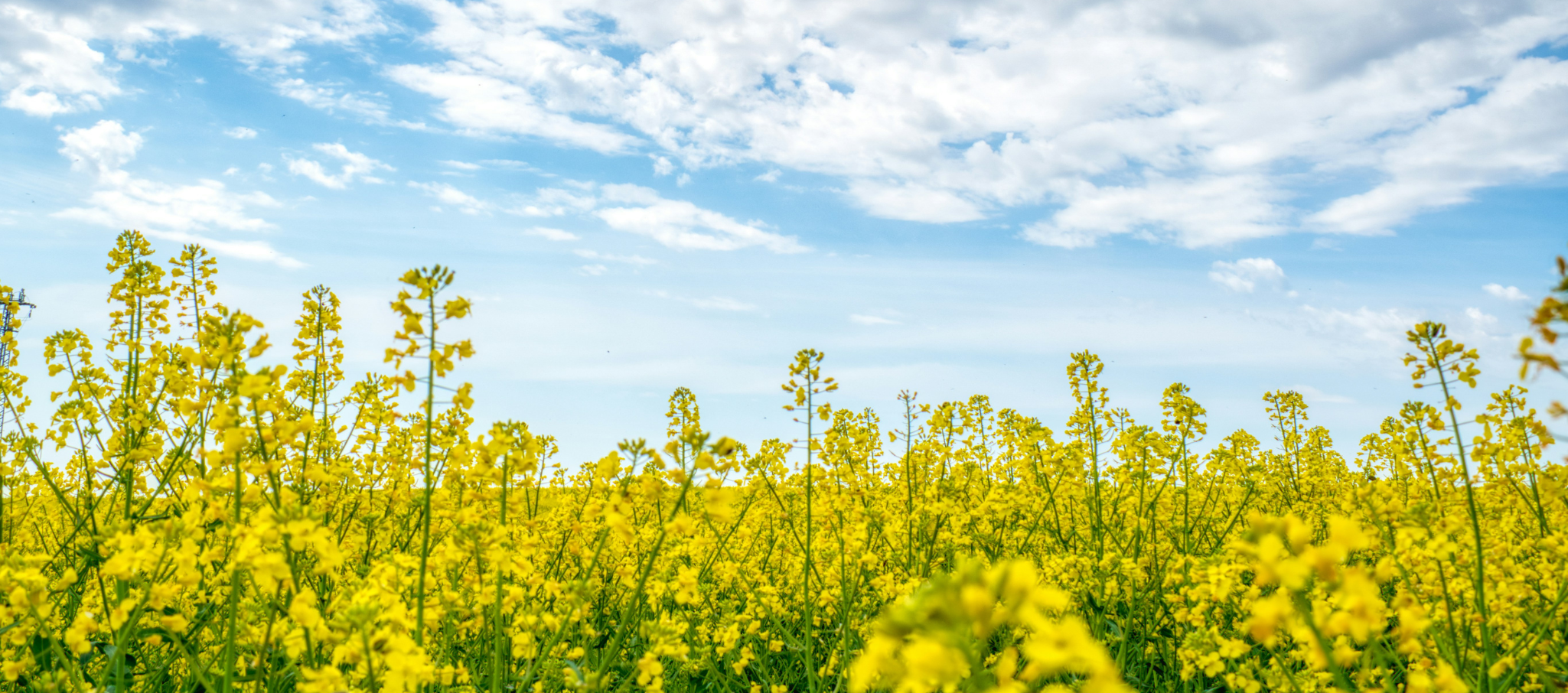 Comment les entreprises industrielles françaises s'adaptent aux nouvelles normes environnementales ?